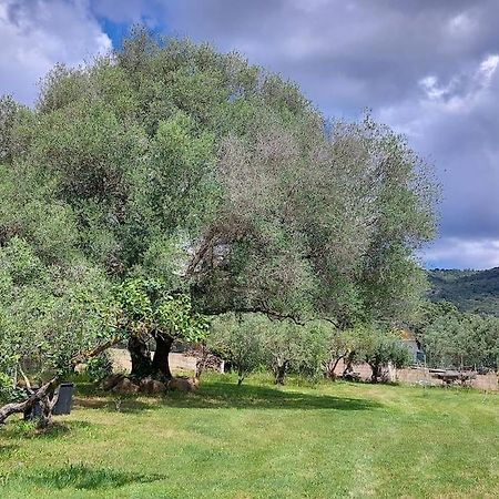 Olbia Grazioso Bilo In Periferia Sole Ruiu Exterior foto