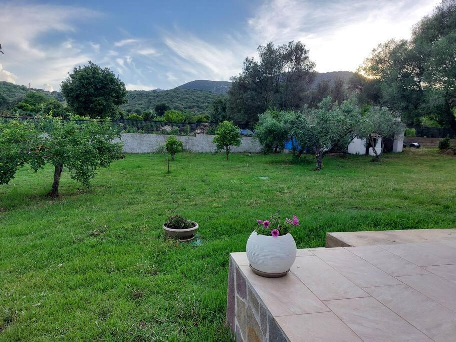 Olbia Grazioso Bilo In Periferia Sole Ruiu Exterior foto